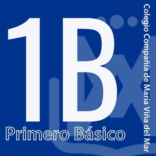 Primero básico