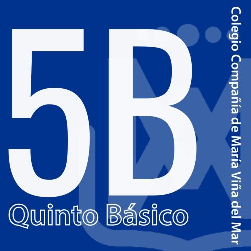 Quinto básico