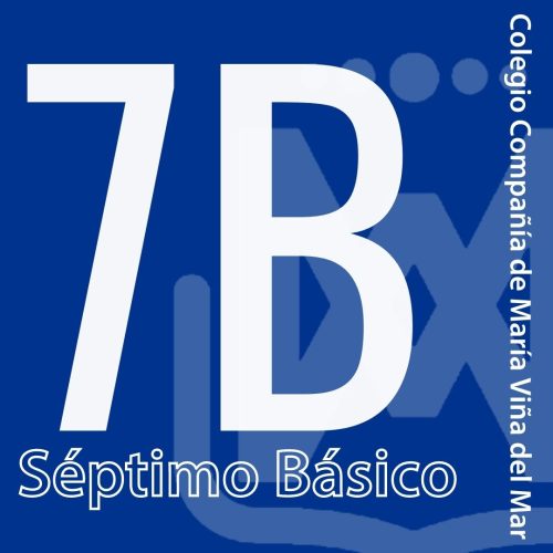 Séptimo básico