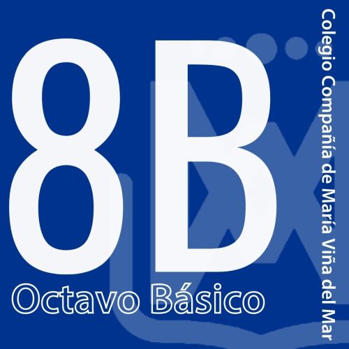 Octavo básico